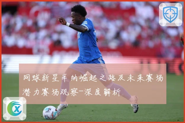 网球新星辛纳崛起之路及未来赛场潜力赛场观察-深度解析